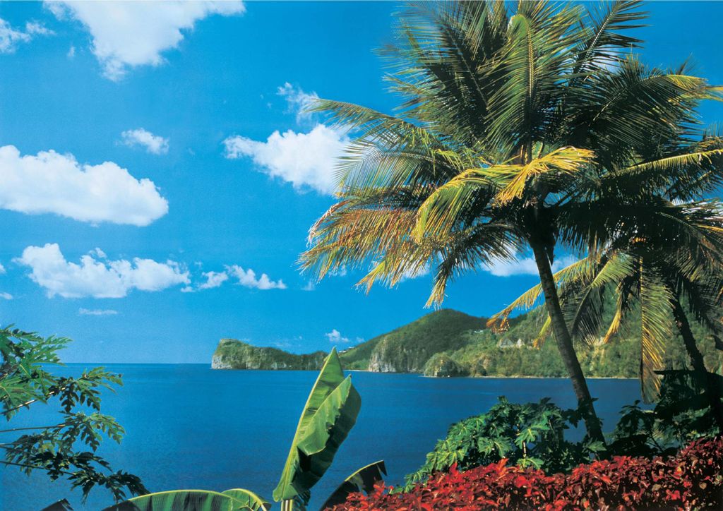 Papermoon VLIES Fototapete, Digitaldruck,  St. Lucia (308) Produktbild 