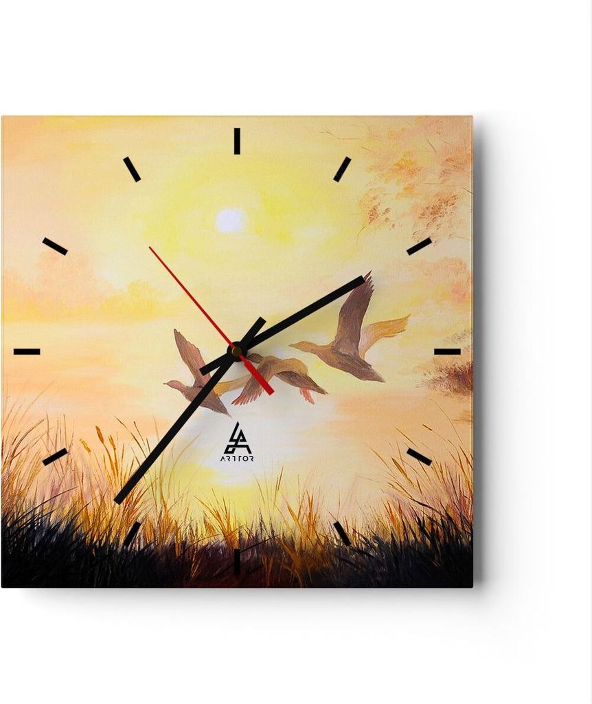 Wanduhr - Quadrat - Glasuhr - Vogel Natur Wasser - 40x40cm - Schleichendes Uhrwerk - Lautlos - zum Aufhängen bereit - Dekoration Modern - Wanddeko...