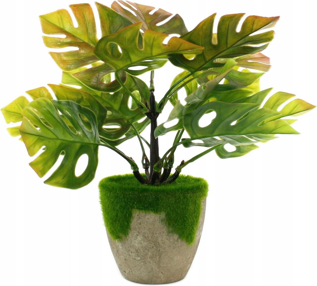 Kunstpflanze Monstera im Topf 25cm - Realistische Deko Zimmerpflanze für Wohnzimmer