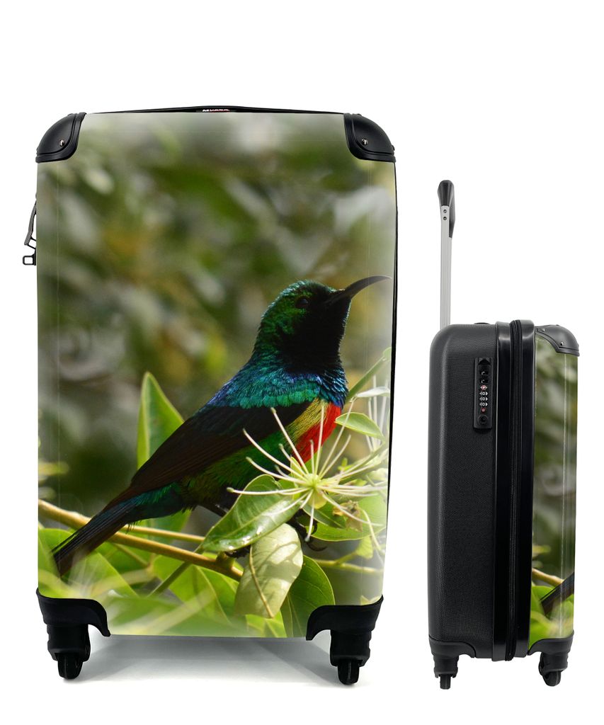 MuchoWow Koffer Handgepäck Trolley Rollkoffer Kleine Reisekoffer mit 4 Rollen - Vogel zwischen den Blättern im Dschungel - Cabin Size < 55x40x2...