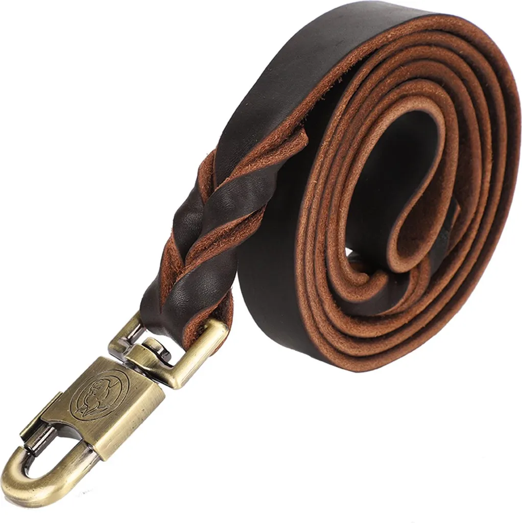 Laisse chaîne et collier cuir pour chien : kit promenade 2,5 x 150 cm