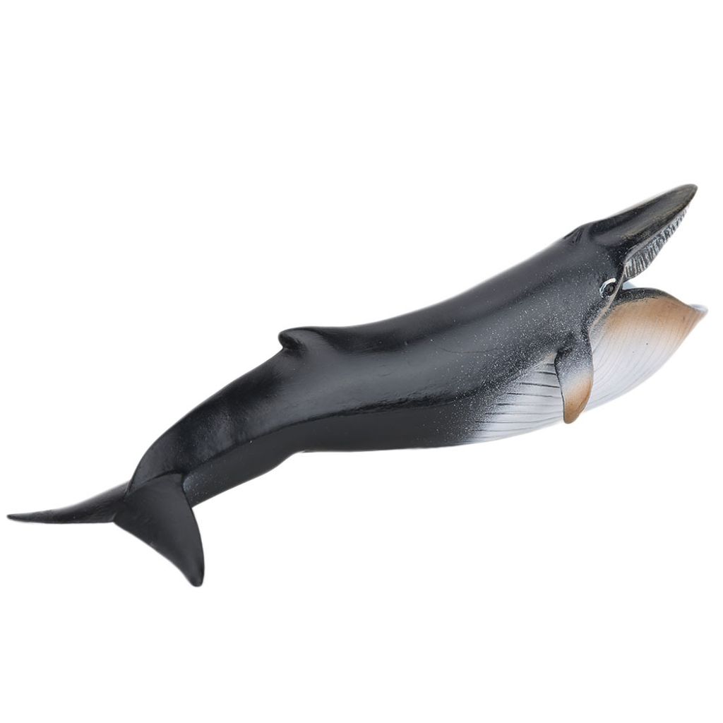 Maquette d'animal marin,Simulation de maquette d'animal Image du produit 