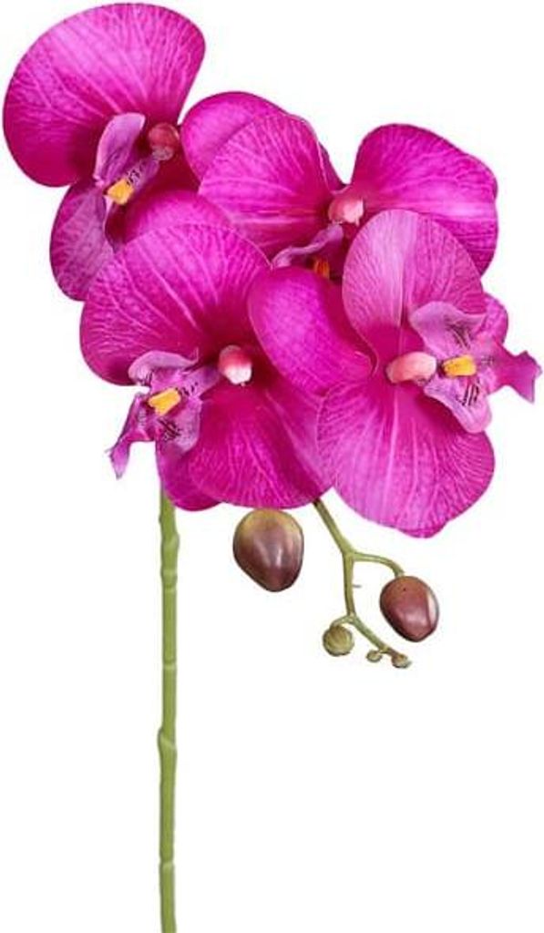Künstliche Orchidee Phalaenopsis für stilvolle Dekoration