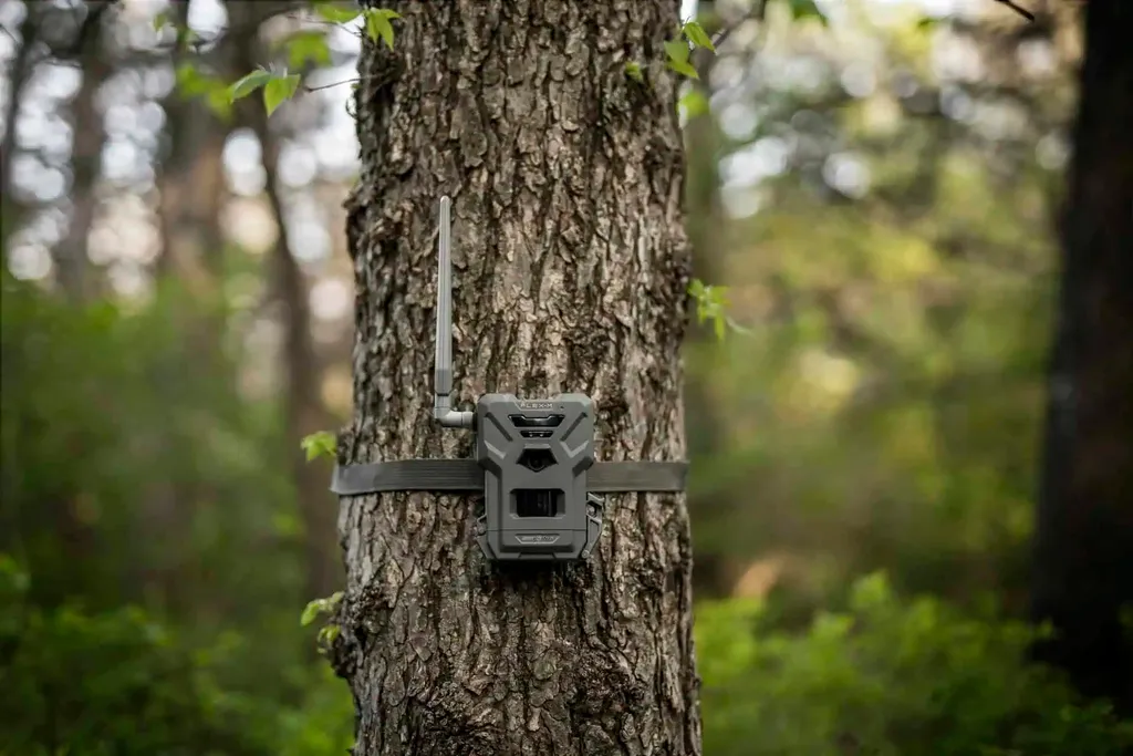 Spypoint FLEX-M Wildkamera Pack de 4 Caméras de Chasse Performance LTE