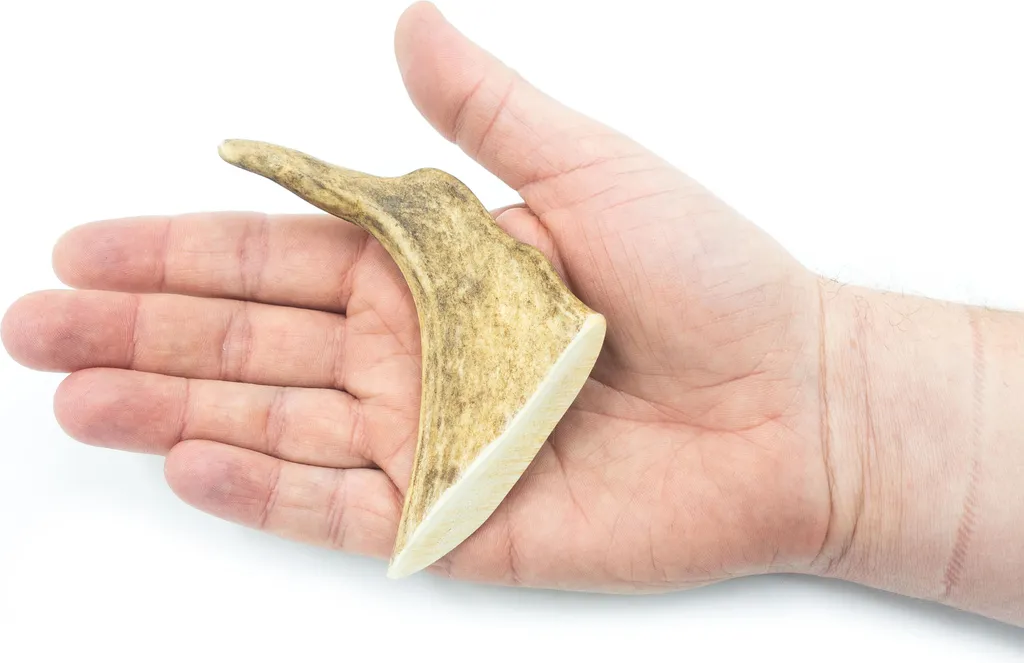 4DOGS Corno di Daino Taglia S Duro: Masticativo Naturale per Cani