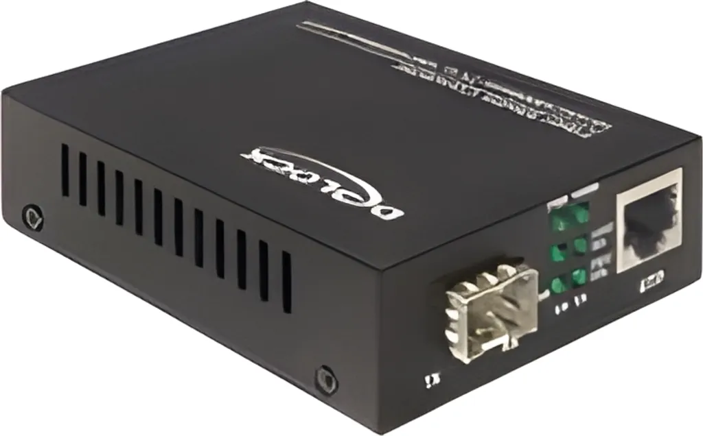 Convertitore Fibra Delock | Semplifica la tua Rete Gigabit SFP