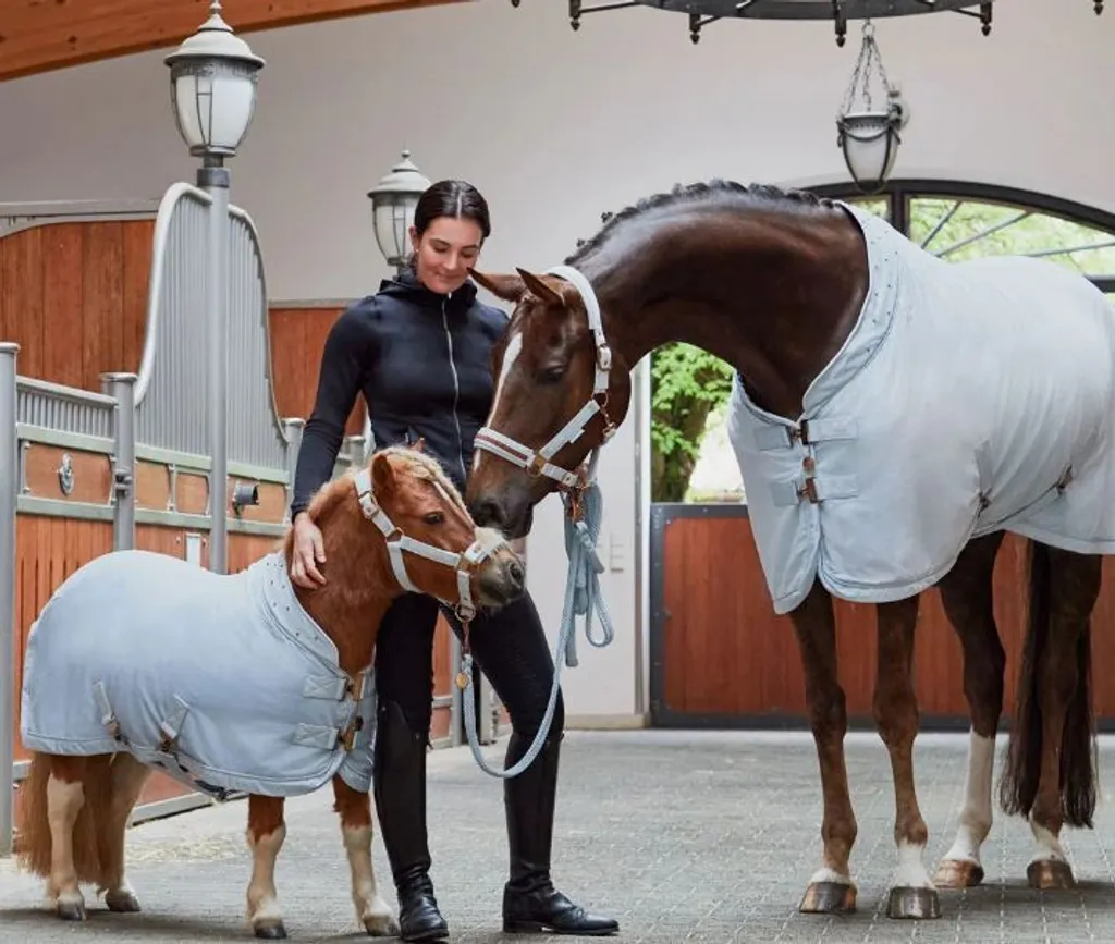 Chemise séchante Eskadron pour poney Shetty idéale après le concours - 2
