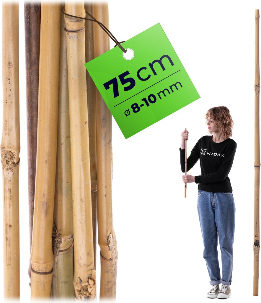 KADAX Bambusstab 75 cm x 10 mm, 1 Stück, Pflanzstab aus Bambus als Rankhilfe für Tomatenpflanzen & Kletterpflanzen, Pflanzenstab für Garten & Ge...