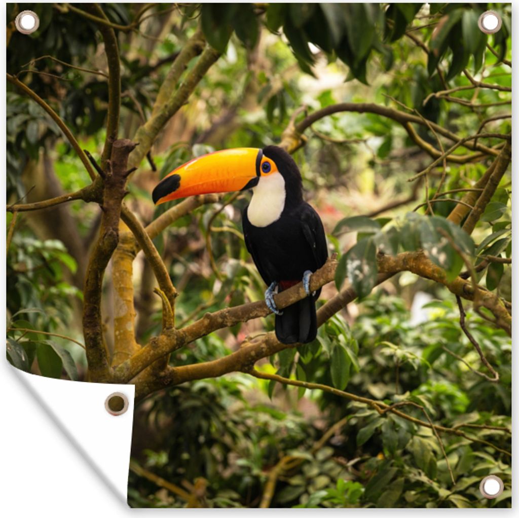 MuchoWow 50x50 cm Outdoor-Poster Gartendeko Sichtschutz Garten Poster für den Garten Vogel - Tukan - Dschungel - Natur - Tropisch