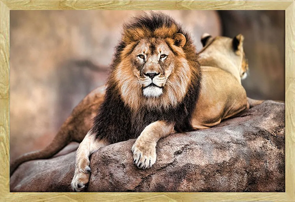Cadre Mural Anti-Casse avec Poster Lion : La Déco Durable Shinsuke