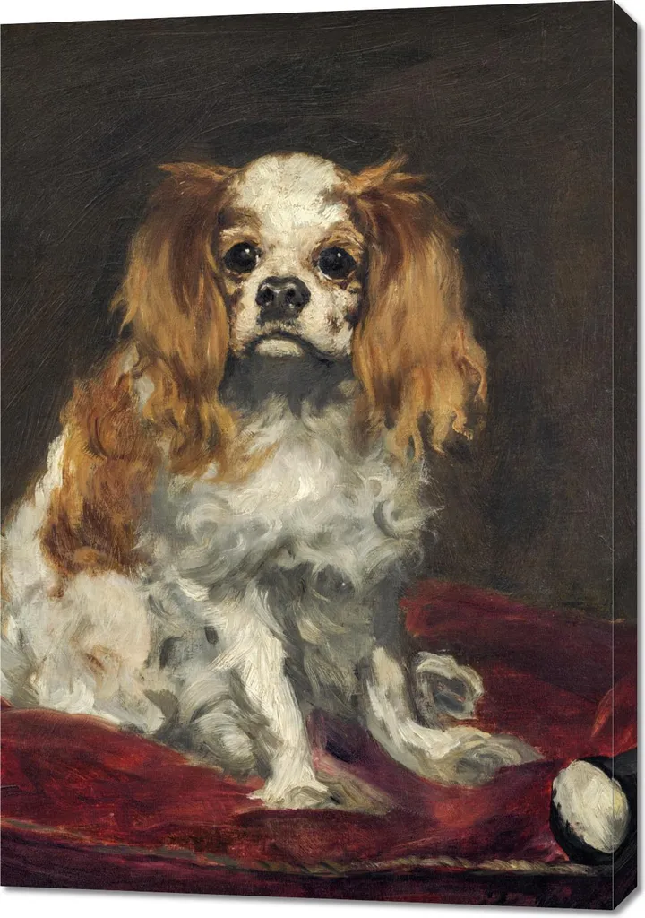 Décoration Murale King Charles Spaniel Manet - Grande Toile 70x100cm