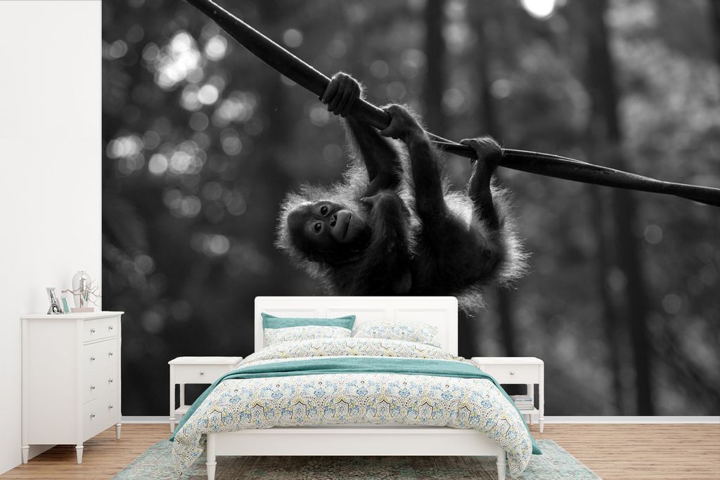 MuchoWow Fototapete für Wohnzimmer oder Schlafzimmer Wandtapete Vinyl Motivtapete Junger Orang-Utan hängt an einem Ast - schwarz-weiß - 450x30...