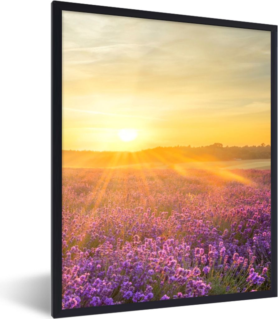 MuchoWow Gerahmtes Poster Lavendel - Sonnenuntergang - Bäume - Lila 30x40 cm - Poster mit Schwarzem Bilderrahmen Wandposter Rahmen Foto Bilder -...
