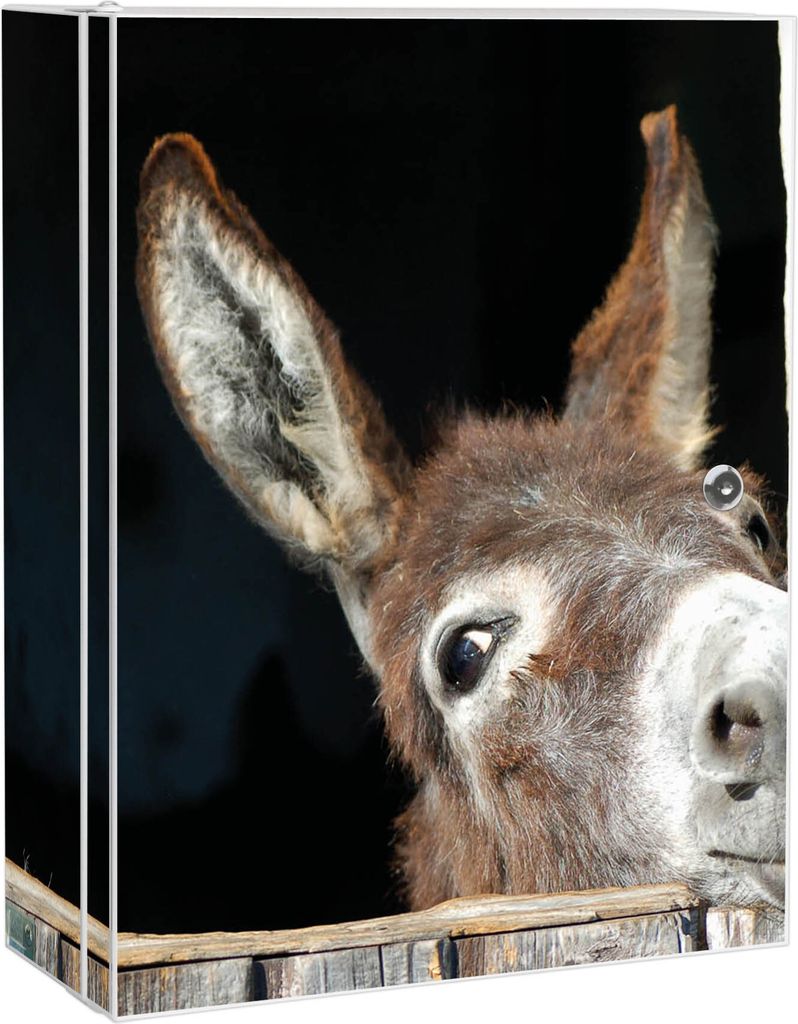 XXL Medizinschrank abschließbar Stahl weiß Arzneischrank Nicki Medikamentenschrank 35x46x15cm, Beklebung komplett [BS1 12357]