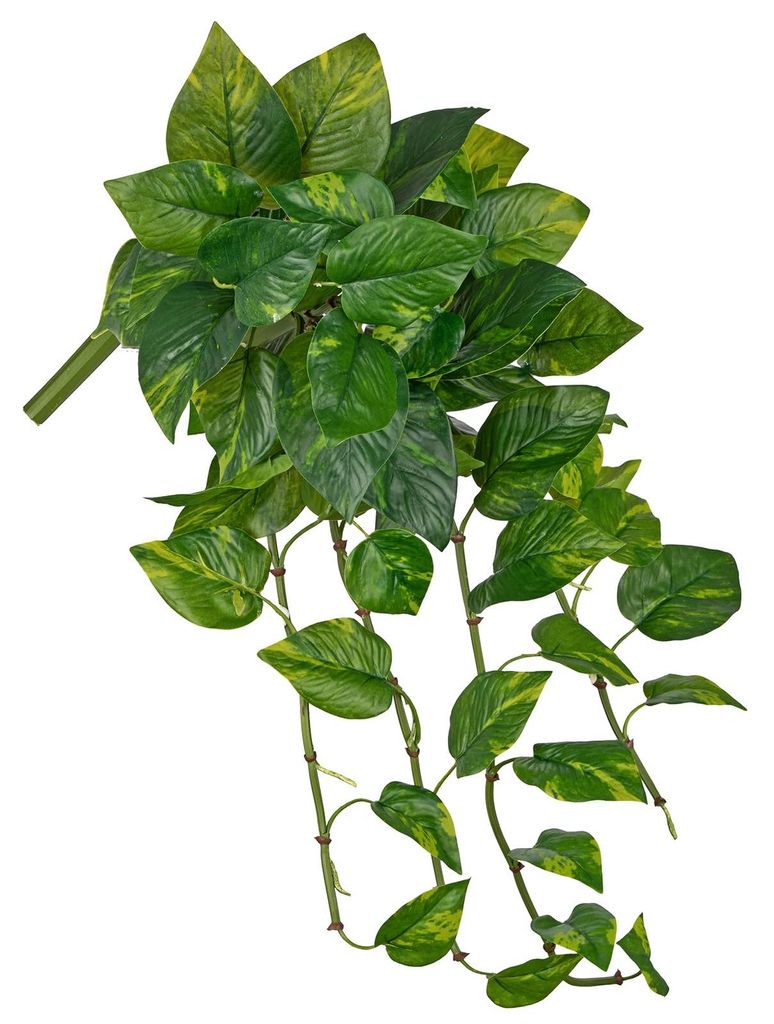 Künstliche Efeutute als Hängepflanze – Lebensecht wirkende künstliche grüne Scindapsus-Ranken, ca. 60 cm, dekorative Pflanze für die Wand, a...
