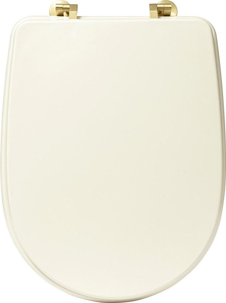 A top-down view of a closed toilet seat.