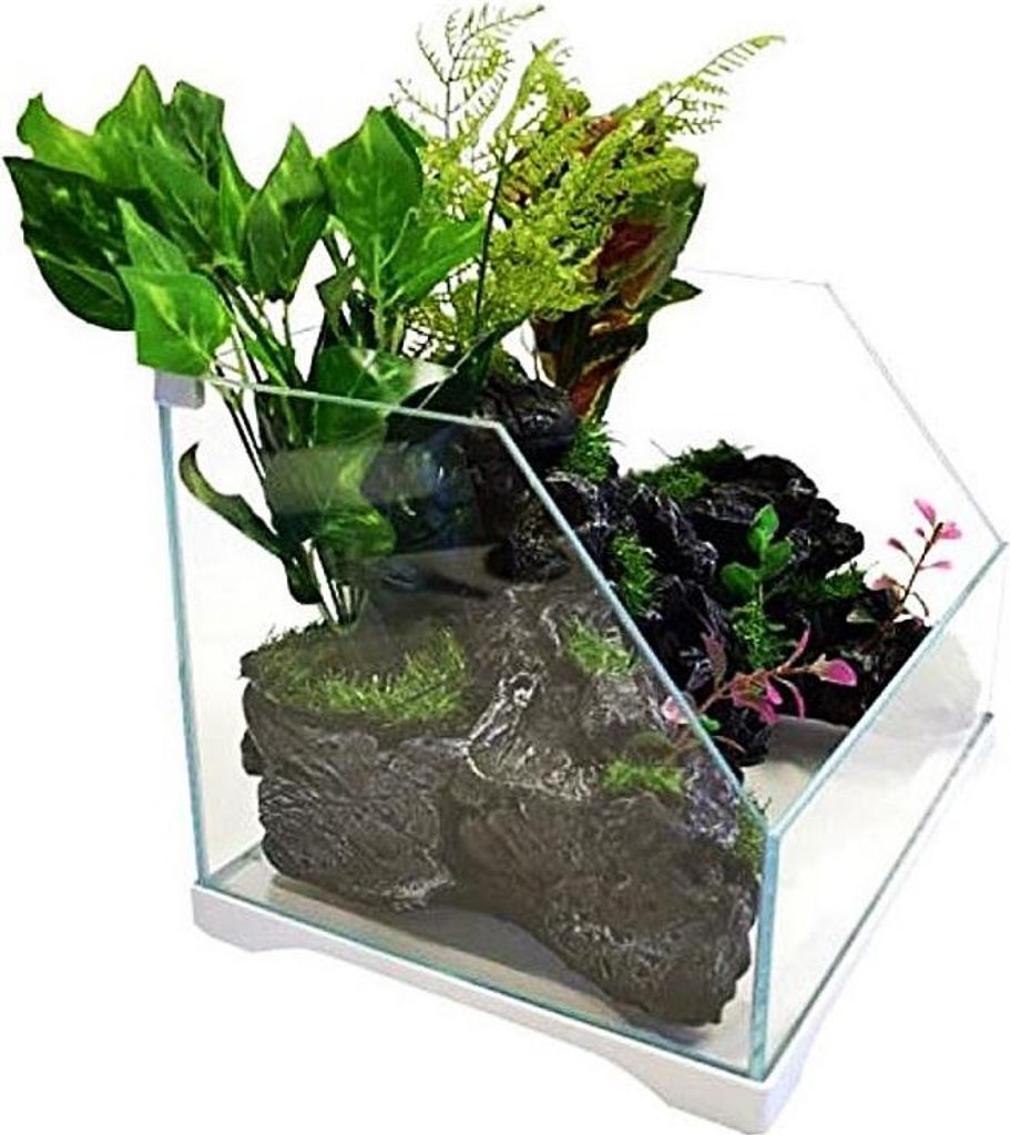 SunSun Aqua Paludarium 30 l - sada paludária SunSun Immagine del prodotto 