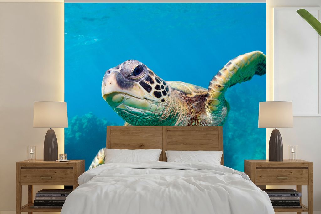 MuchoWow Fototapete für Wohnzimmer oder Schlafzimmer Wandtapete Vinyl Motivtapete Meeresschildkrötenschwimmen auf Hawaii - 280x280 cm - Hinterg...