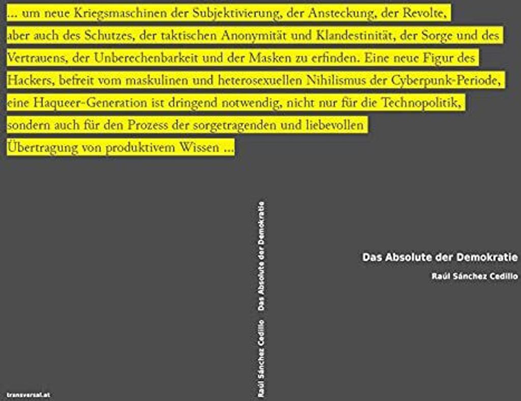 Das Absolute der Demokratie: Gegenmächte, Körper-Maschinen, transdividuelles Netzwerksystem