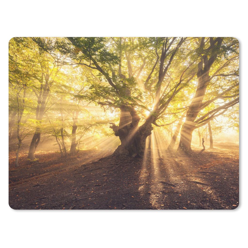 MuchoWow Mauspad Mousepad Baum - Wald - Sonne 23x19 cm - Mousepads - Maus Mat - Pad - Mausunterlage - Schreibtischunterlage - Mauspad