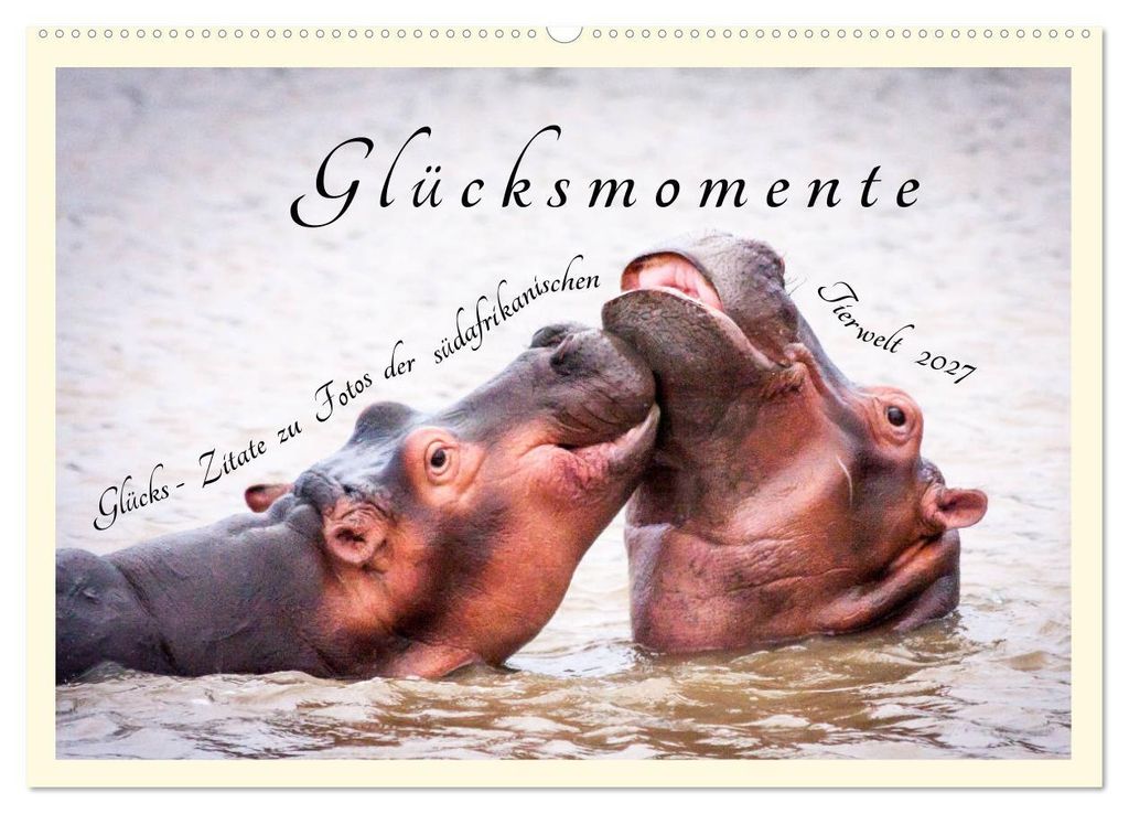Glücksmomente Glücks-Zitate zu Fotos der großartigen südafrikanischen Tierwelt (Wandkalender 2027 DIN A2 quer), CALVENDO Monatskalender