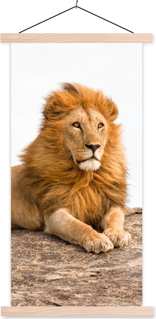 MuchoWow Textilposter Löwe - Mähne - Tier 40x80 cm mit holzfarbenen Rahmen - Wohnzimmer