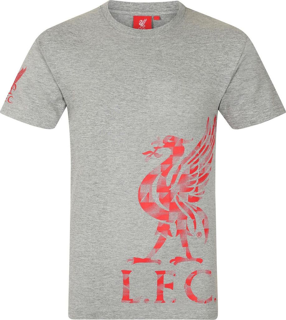 Liverpool FC - T-Shirt für Jungen GF621 (122) (Grau)