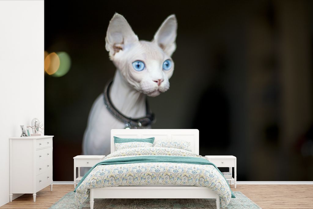 MuchoWow Fototapete für Wohnzimmer oder Schlafzimmer Wandtapete Vinyl Motivtapete Sphynx-Katze mit auffallend blauen Augen - 450x300 cm - Gemust...
