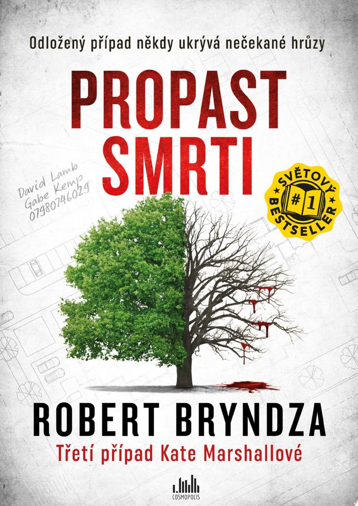 Propast smrti (Bryndza Robert)