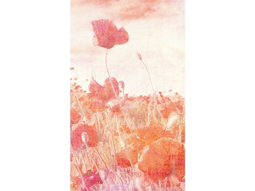 Fototapete - Poppies Abstract 150x250cm - Vliestapete