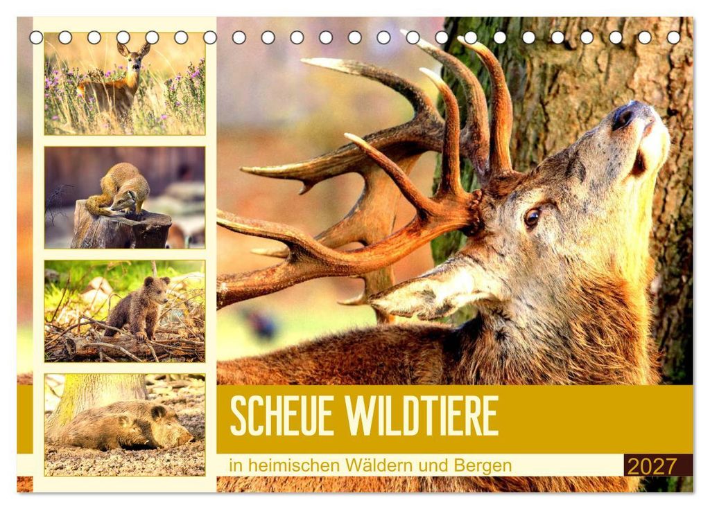 Scheue Wildtiere in heimischen Wäldern und Bergen (Tischkalender 2027 DIN A5 quer), CALVENDO Monatskalender