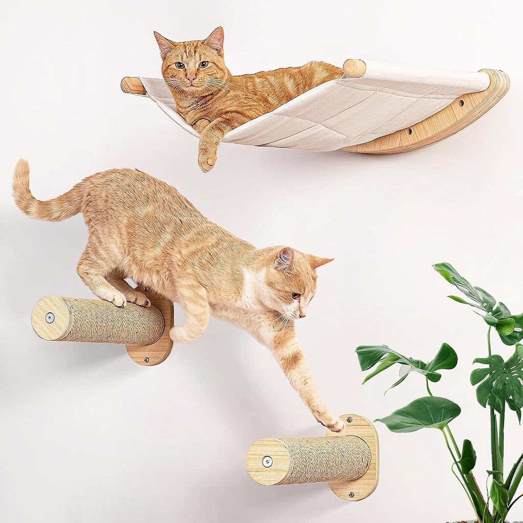 Klimwand für Katzen - Hängematte und Katzenregal - Wandmontage