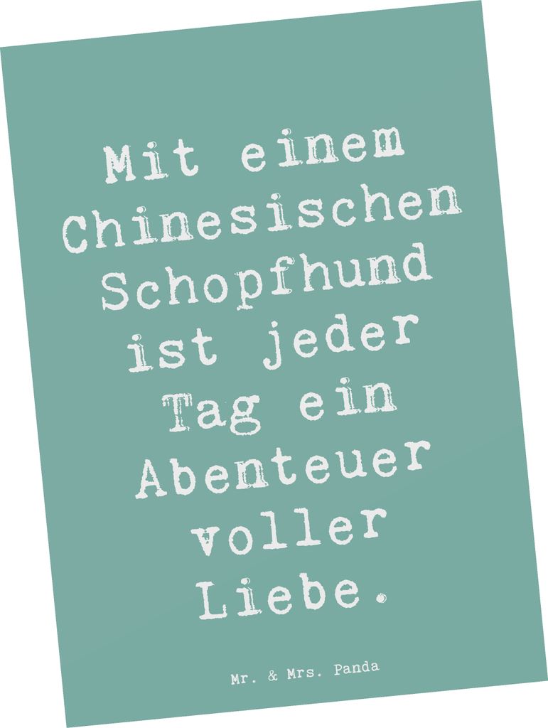 Mr. & Mrs. Panda Postkarte Spruch Chinesischer Schopfhund Abenteuer - Meeresbrise - Geschenk, bildkarte, Hunderassen Charakter, sozialeizierung Hun...