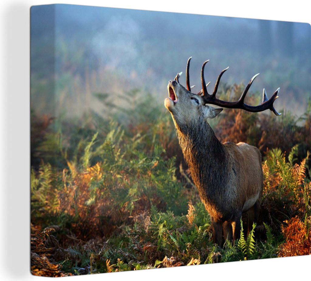 MuchoWow - Leinwandbilder - Hirsche - Tiere - Pflanzen, Wandbild, Wanddeko Bilder Wohnzimmer, 120x90 cm