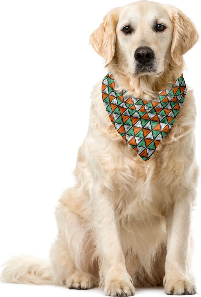 ABAKUHAUS Dreieck Haustier Bandana, Doodle Stil-Linie Entwurf, 40x40 cm, Sea Green Orange Weiss