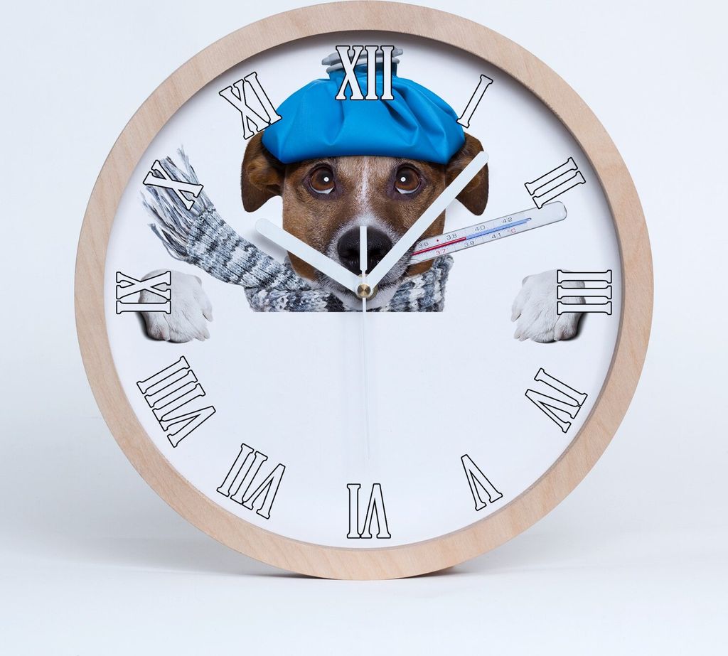 Holzuhr 30fi cm wanduhr - weiße Spitzen - kranker Hund