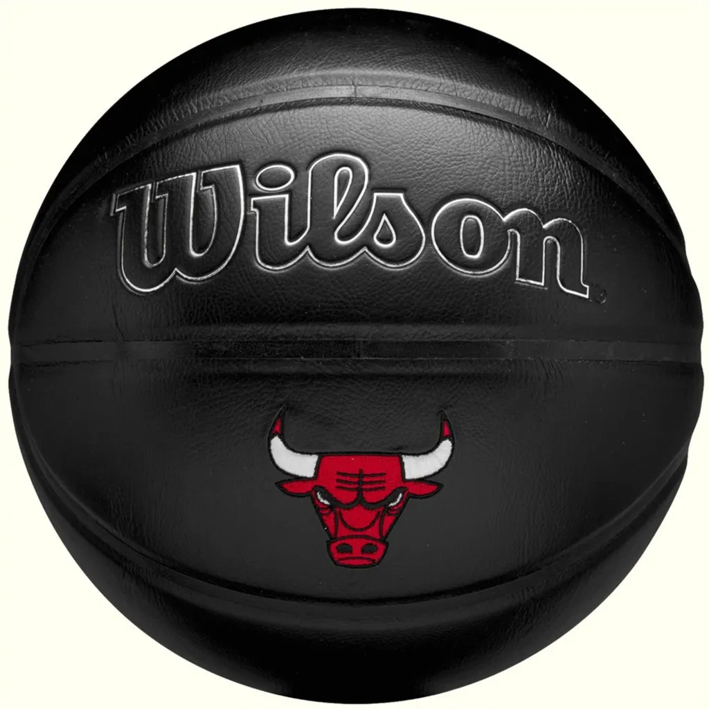 Ballon de Basketball Wilson WZ4026405XB Idéal pour Entraînement et Match