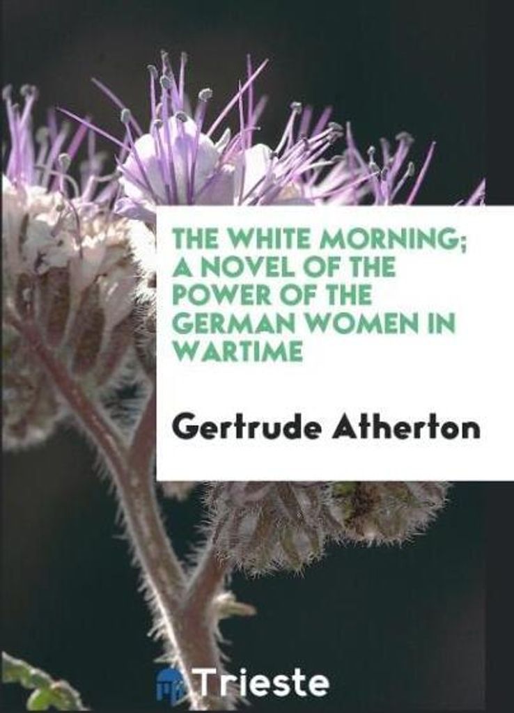 The white morning; a novel of the power of the German women in wartime