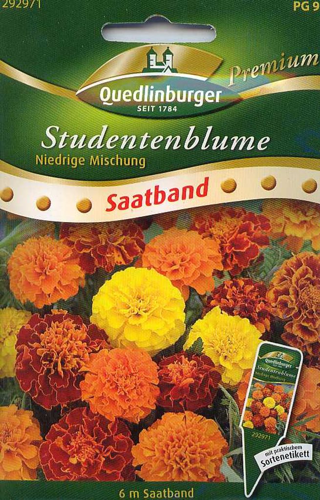 Saatband Studentenblumen, niedrige Mischung Produktbild 