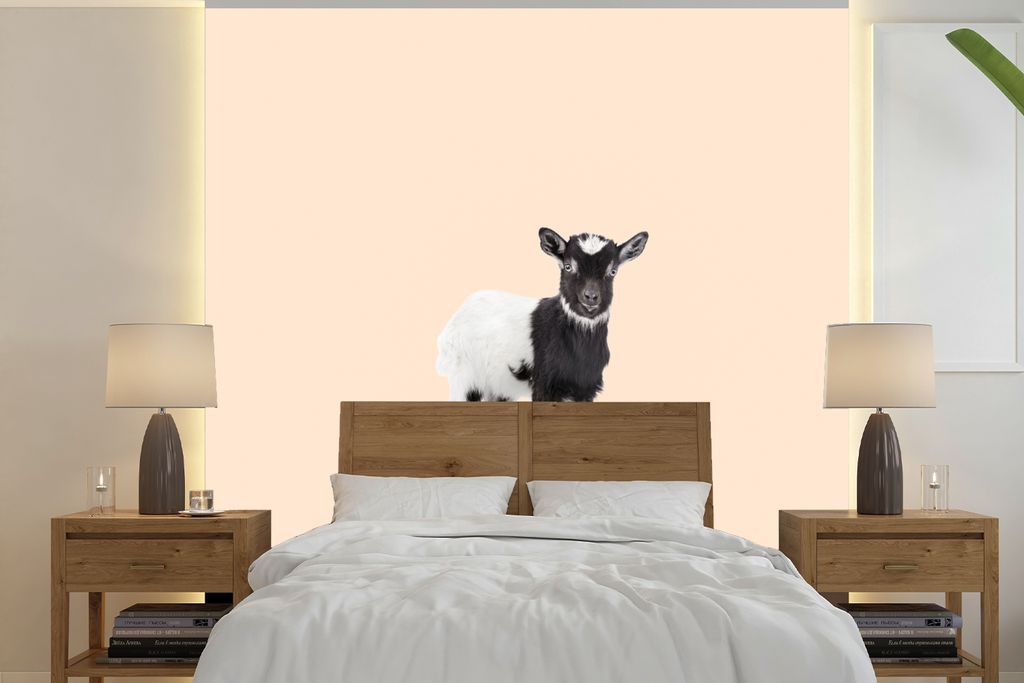 MuchoWow Fototapete für Wohnzimmer oder Schlafzimmer Wandtapete Vinyl Motivtapete Ziege - Schwarz - Skateboard - Weiß - Tiere - 300x300 cm - Wa...