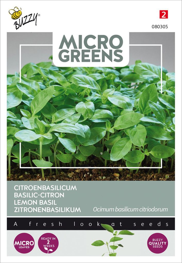 Buzzy Microgreens Zitronenbasilikum Samen - Ca. 1 gr | Produktbild 