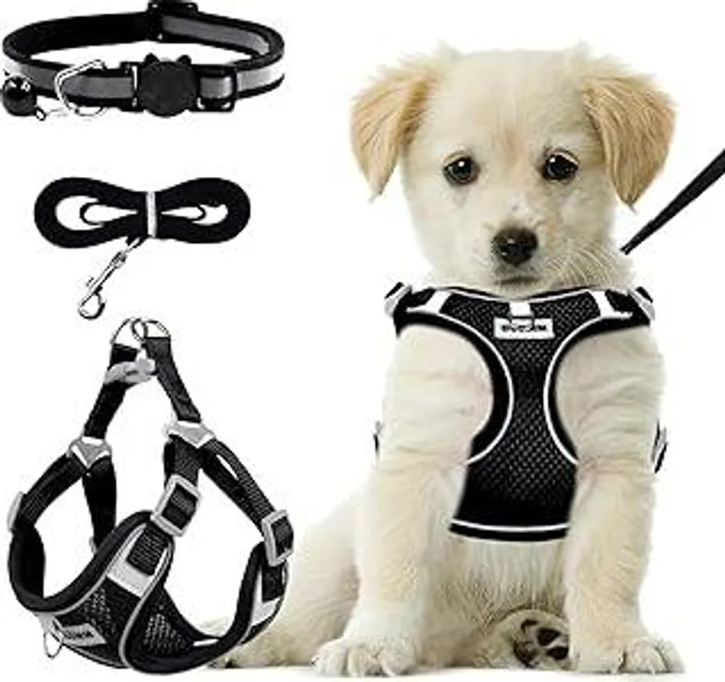 Pettorina Cane Anti-Tiro S: Struttura Rinforzata e Alta Visibilità