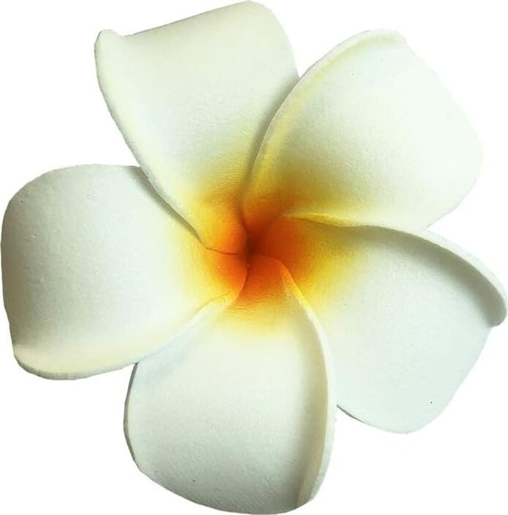 20 Stück im Wasser schwimmende künstliche Plumeria-Blumen Produktbild 