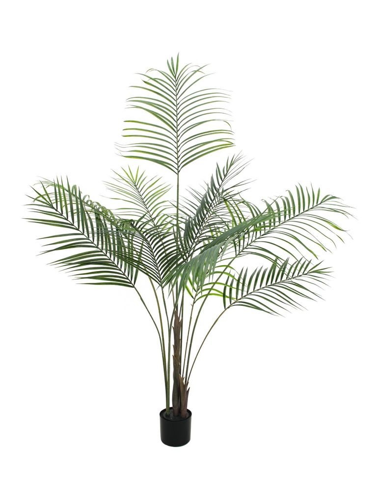 EUROPALMS Großblatt-Areca, Kunstpflanze, 185cm (82509442)