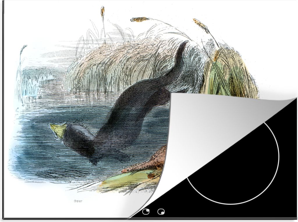 KitchenYeah Herdabdeckplatte Illustration eines Fischotters und eines Schnabeltiers , 60x52cm, Küche Deko, Glaskeramikkochfeld Herdabdeckung, Ab...