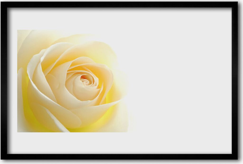 Bild 60x40 MDF-Rahmen Wandkunst Rose Blume Pflanze Natur