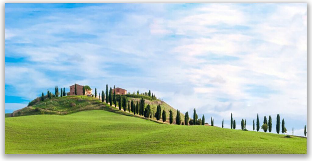 Glasbilder 120x60 Wandbild Druck auf Glas Wiese Bäume Landschaft