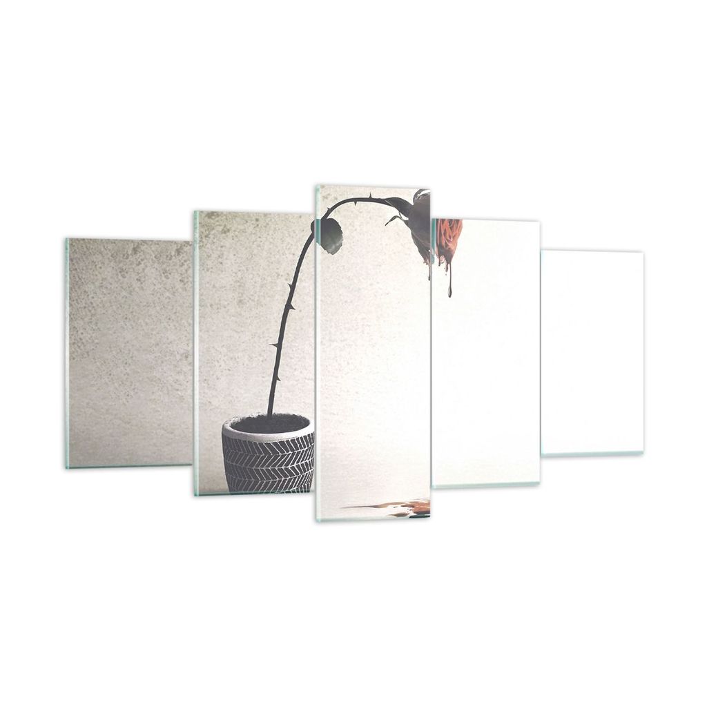 Bilder auf glas - 5 Teile - Symbol Rose Leiden - 160x85cm - Glasbilder - Wandbilder - Bilder - zum Aufhängen bereit - Wanddekoration aus Glas - Gl...