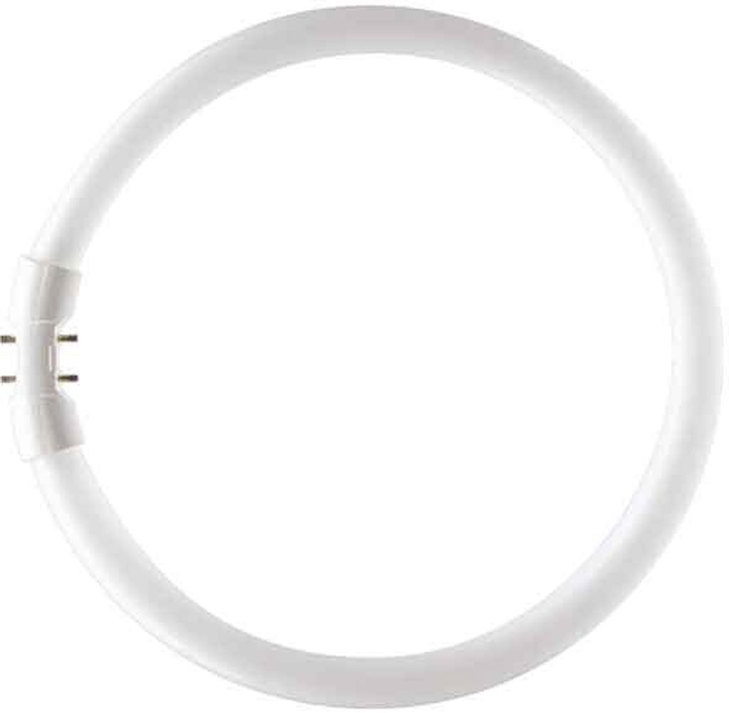 Philips 22 W G10q fluorescente lamp B Neutraal wit Produktbild 