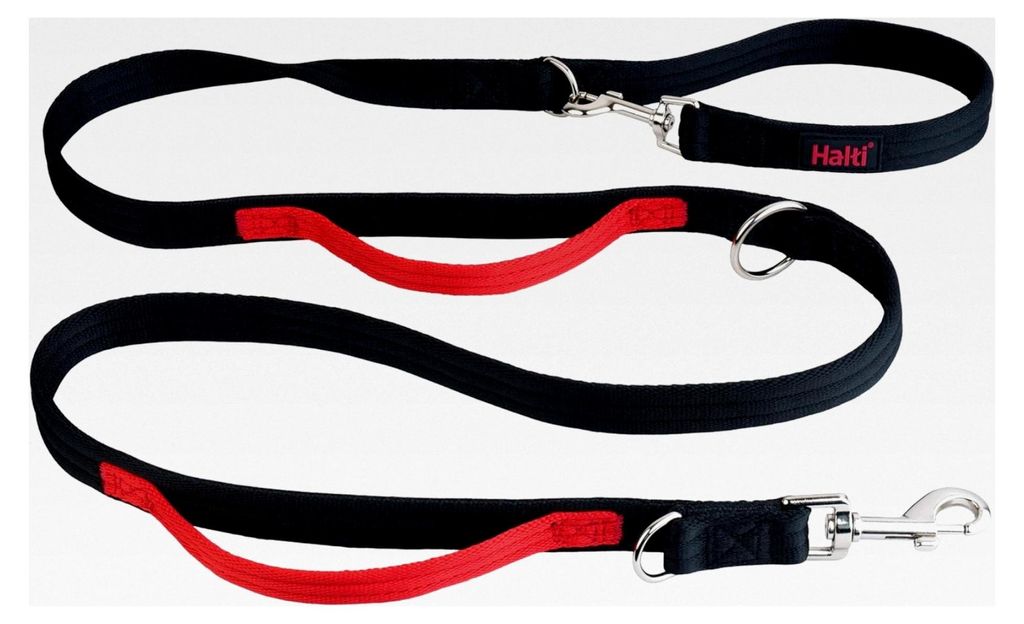 Control Hundeleine, Größe Groß, Schwarz, 2 m - mit 2 Griffen zur Unterstützung beim Training und Gassi gehen, mit Neopren gepolsterter Leine, g...